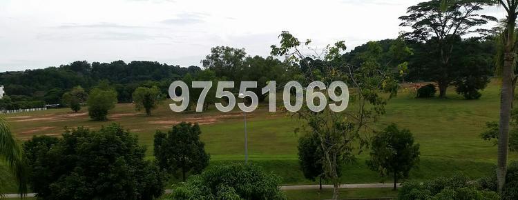 Woodgrove Condominium (D25), Condominium #156458772